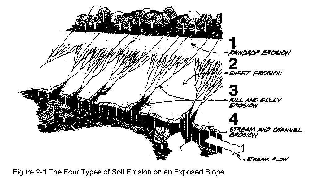 Four Types of Soil Erosion on Exposed Slope Point of Management Detachment Raindrop impact Sheet Flow Transport Raindrop impa Sheet Flow Your permit