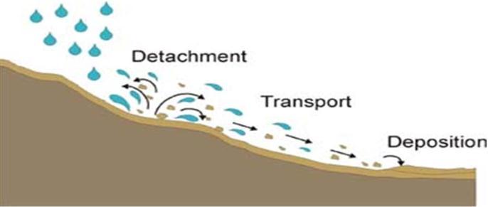 The Erosion Process Soil erosion is a multi-step process: Soil particle/aggregate detachment Soil particle/aggregate transport Soil