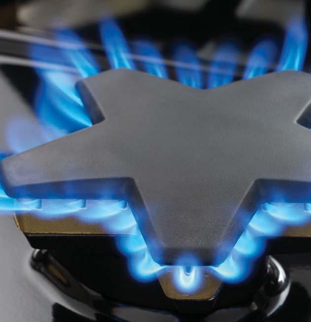 The Star Burner s coverage area allows for more ports and more flame distribution than a round burner.
