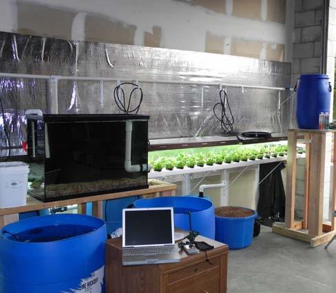 BUILDING YOUR SYSTEM Basic Parts and Supplies Fish Tanks or Barrels Grow Trays or Channels Growing medium Plumbing Mechanical / Biological Filters Water Pump Water