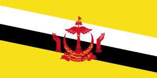 Brunei Darussalam XXL Bio Green