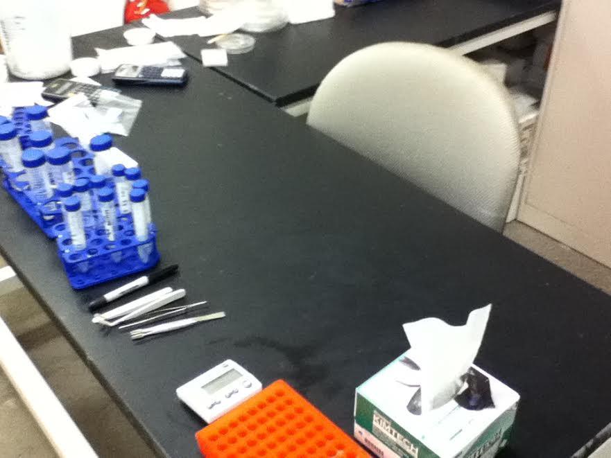 Lab cleanliness: