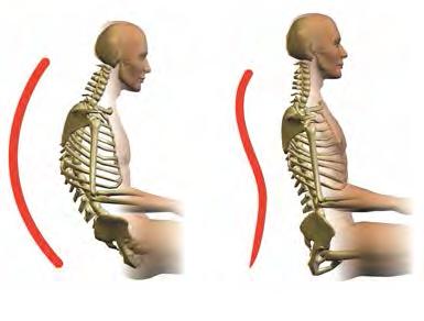 specification (e.g. recline action, sound / vibration function) of any seat. The average human head weighs 4.4kg and needs to be supported by the spine.
