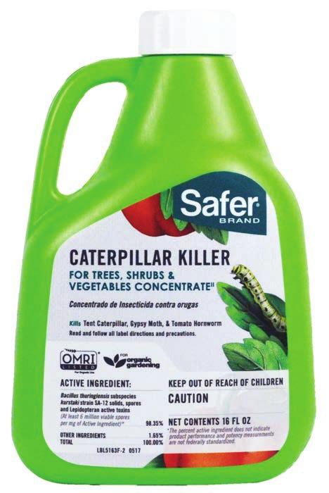 Protect your most precious plants from destructive caterpillars and worms for good!