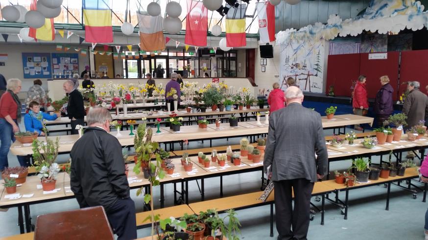 The North Dublin Horticultural Societies Association The Exhibitor of the Year Perpetual Trophies will be competed for at The North Dublin Horticultural Societies Association Annual Summer Shows The