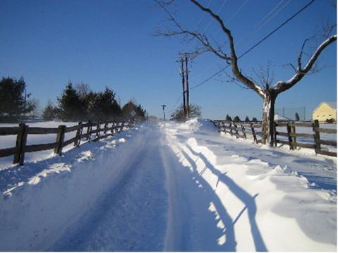 It looked like this at both ends of the road except just south of Farquhar Middle School (and south of Old Vic) the cleared path ended abruptly - the way was blocked entirely, until a loader got
