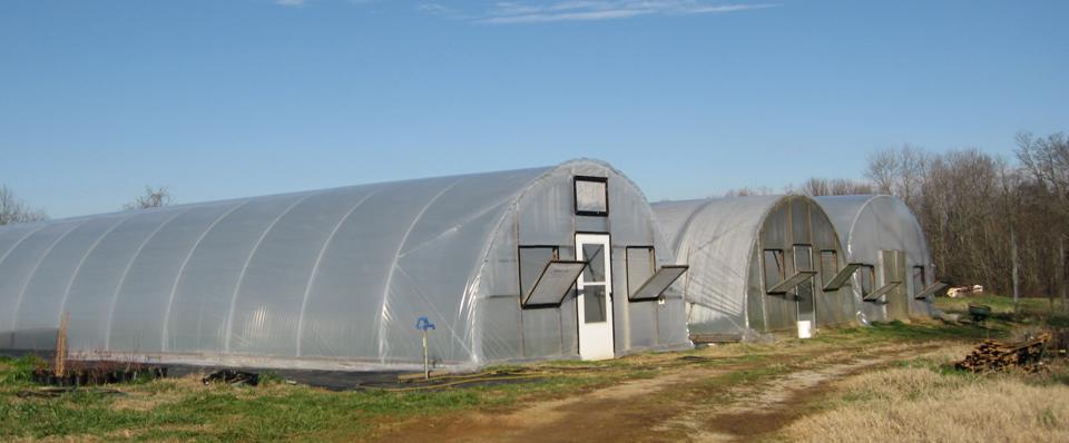 High Tunnels Unheated greenhouses Frame of metal struts Plastic cover Tall enough