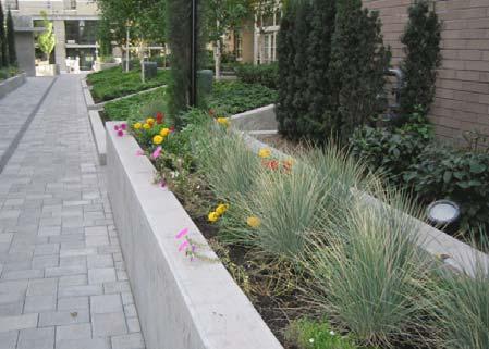 Executive Summary 7. Refine landscaping standards. The proposed standards offer greater flexibility in how the site is landscaped.