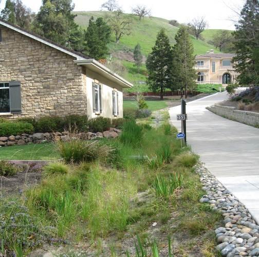 Rain gardens are a relatively low-cost, effective, and aesthetically pleasing way to reduce the amount of stormwater that runs off your property and washes pollutants into storm drains, local