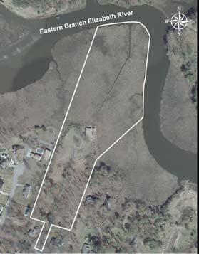 Woodbridge Community Park - Develop and implement a master plan for the 25-acre wooded parcel that can potentially serve both as an additional link to the Stumpy Lake Natural Area from Lynnhaven