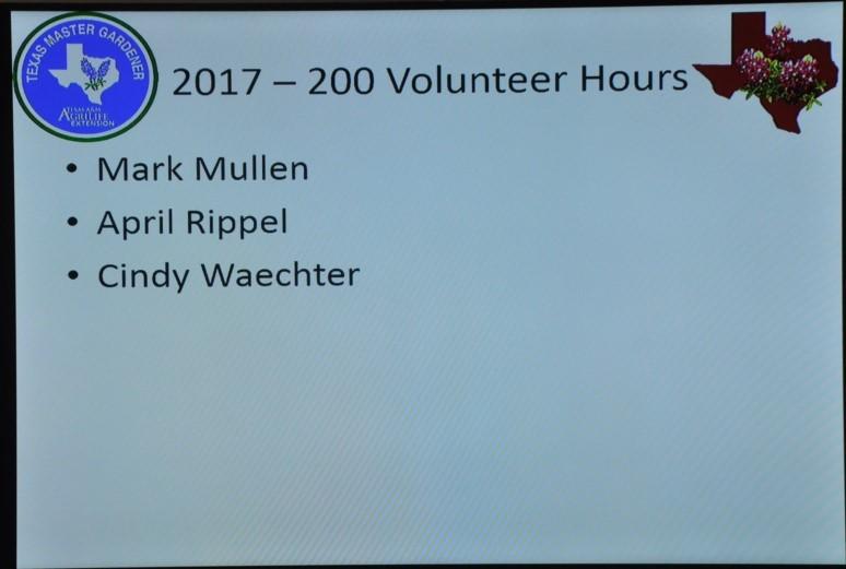 GCMG 2017Annual Awards Recognition Continued Reporting 200-299 volunteer hours
