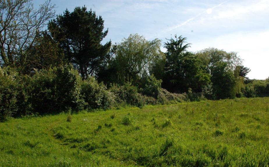 Natural & built environment asset: Trees & Hedgerows around Proposed Cappards Estate Extensions Cappards Road boundary, boundary with the rear of Rushmore Gardens, field boundary, boundary with