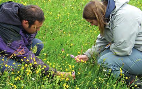 ECOLOGY TEP has over 30 in-house ecologists, all of which are members of the Chartered Institute of Ecology and Environmental Management (CIEEM) and adhere to CIEEM s guidelines both
