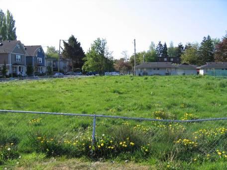 Site prior to