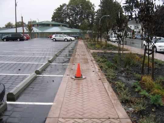 Permeable pavers on low-use driveway;