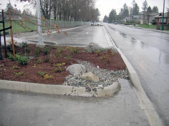 Rain gardens collect and