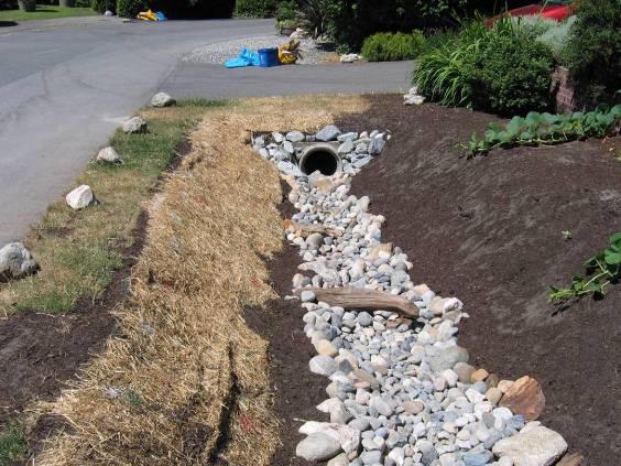 minimize erosion until plants are installed