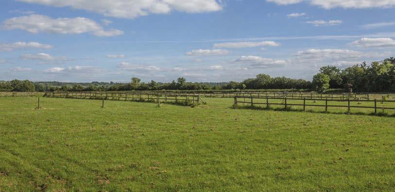 The land is well gated from the roads and a hard-core track runs through the farmland providing good access all year round.