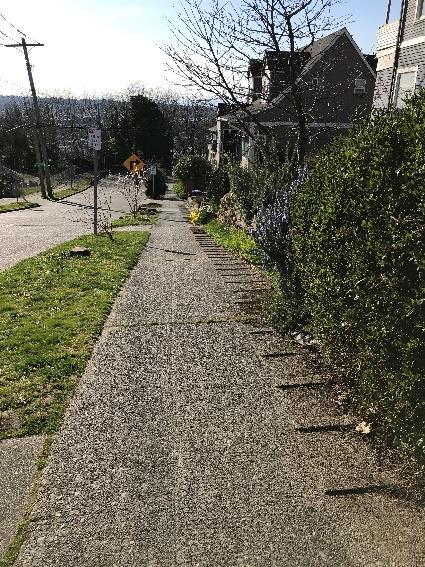 D E F C A B DOWNHILL Suggested Route: Exit the school and begin walking WEST on S Hill St; cross 13 th Ave S; RIGHT on 12 th Ave S; cross street to give students a view toward the Puget Sound;