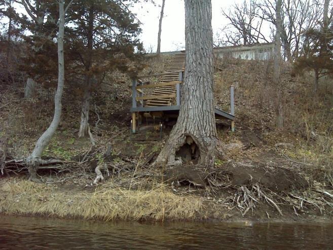 The erosion is characterized by exposed tree roots and some undercutting of the bank.