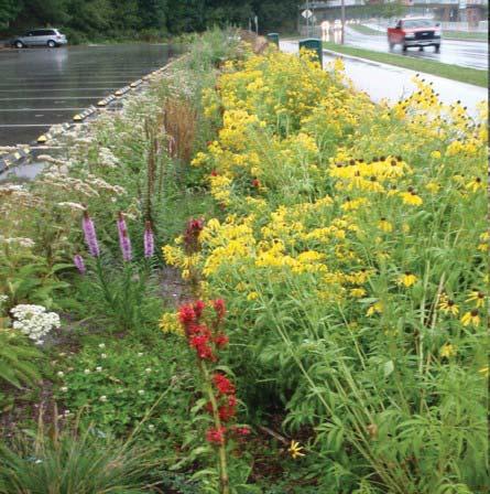 STORMWATER BEST MANAGEMENT PRACTICES (BMP S) Guideline: The Historic Pheasant Branch Crossing is located at the connection of the Urban
