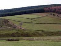 Low rounded hills across the wide floor of this lower part of the glen, with