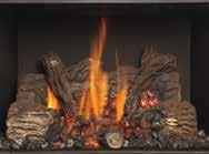 Driftwood Fire Art with Glass Media (All Models) Firebacks Leave the interior basic