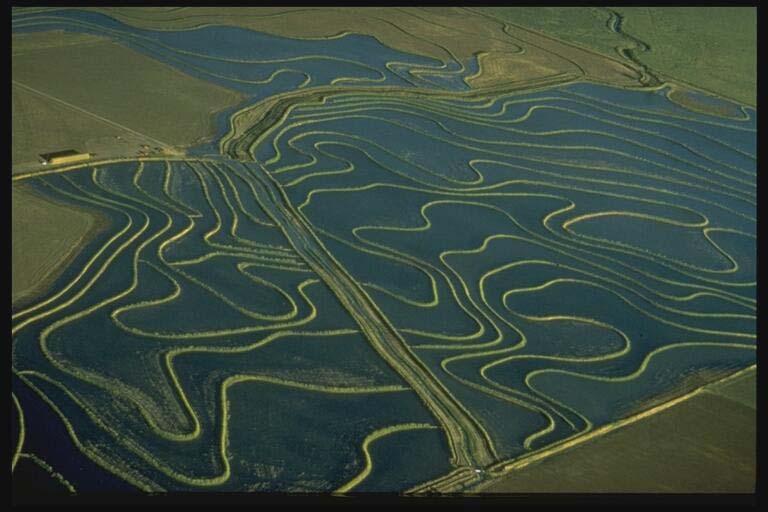 Natural contours Rice Production