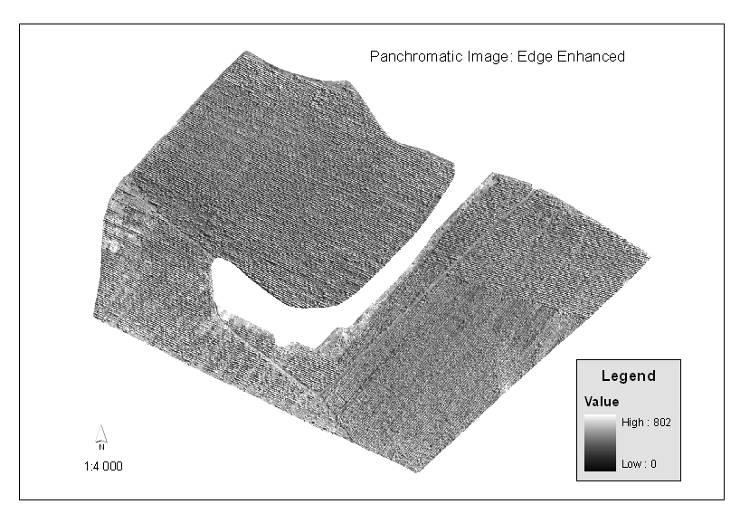 Example of Panchromatic Edge Enhanced Image Aug.09.