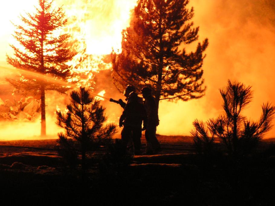 Safety A Wildfire Evacuation Guide for The