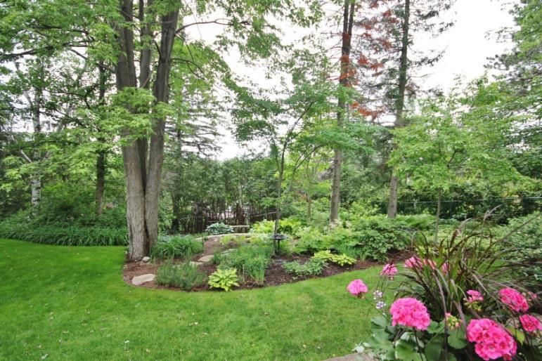 The Backyard: The very private backyard with lavish trees & gardens features a stunning
