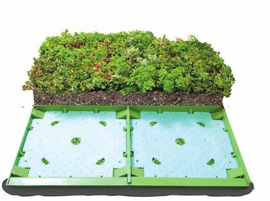 Patented modular tray design combines drainage, water retention and irrigation components which create efficiency and simplifies installation.