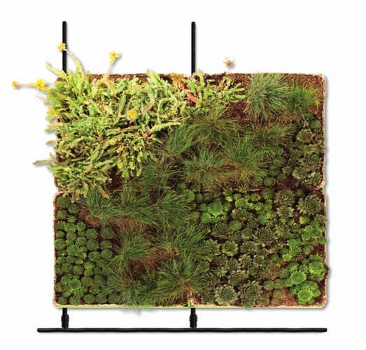 Connectors The SkyGarden Green Roof tray module is the only modular system that can offer an integrated, capillary subsurface irrigation system.