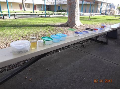 We conduct science investigations in our school s science lab that pose examples of water use
