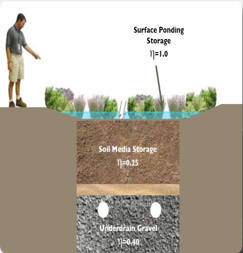 Key Parts of Bioretention Ponding area Filter media Pea gravel