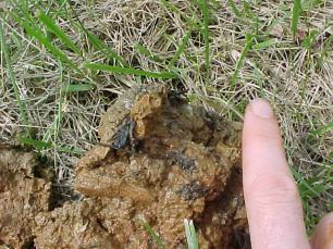 soils <3 of