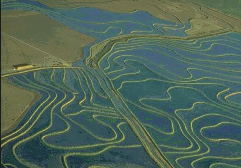 Land Formation California Rice Production Workshop, v15 Field Development Field development refers to configuring the field shape, surface slope and installation of water control structures to