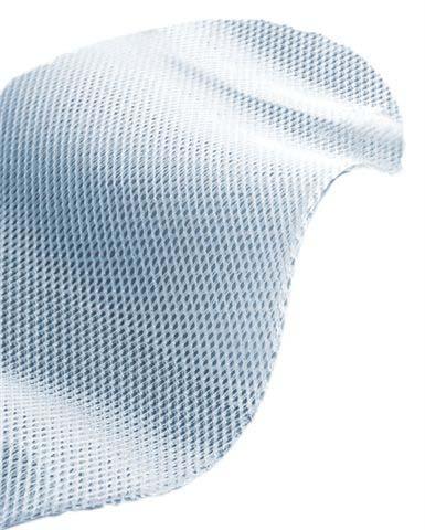 Acquisition Update: Floreane Innovator in the development of hernia meshes and surgical implants Step acquisition: October 2005 September 2007 New Product Launches Coated Mesh Parietex