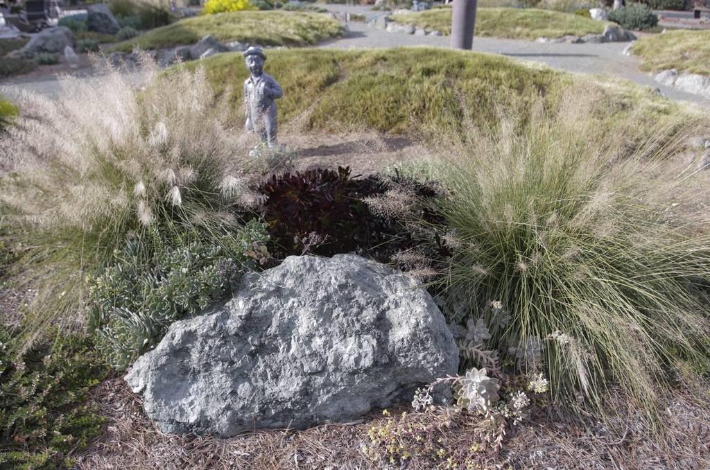 Bonnie Richan's Los Osos garden features drought-tolerant plants such as grasses, sedge and rush, as well as succulents.