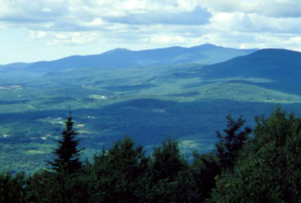The different horizontal layers of the soil are called soil horizons (see figure 1). The best place to find a Tunbridge soil is in the woods in the Green Mountains in the central part of Vermont.