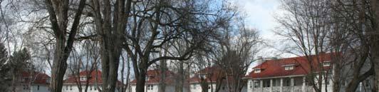 PRESERVE AND MAINTAIN THE HISTORIC DOUBLE ROW OF TREES (USE TREES WITH SIMILAR SIZE AND