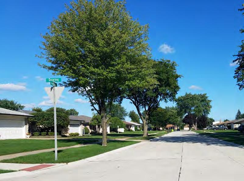 Content Customized for Sterling Heights Non-conforming use analysis Identify locations for existing land use does not conform with existing zoning Goal to ensure compatible land use throughout the