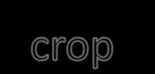 a) Trap cropping b) Intercropping c)