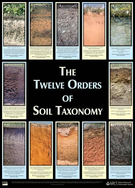 Your Soil exposed!