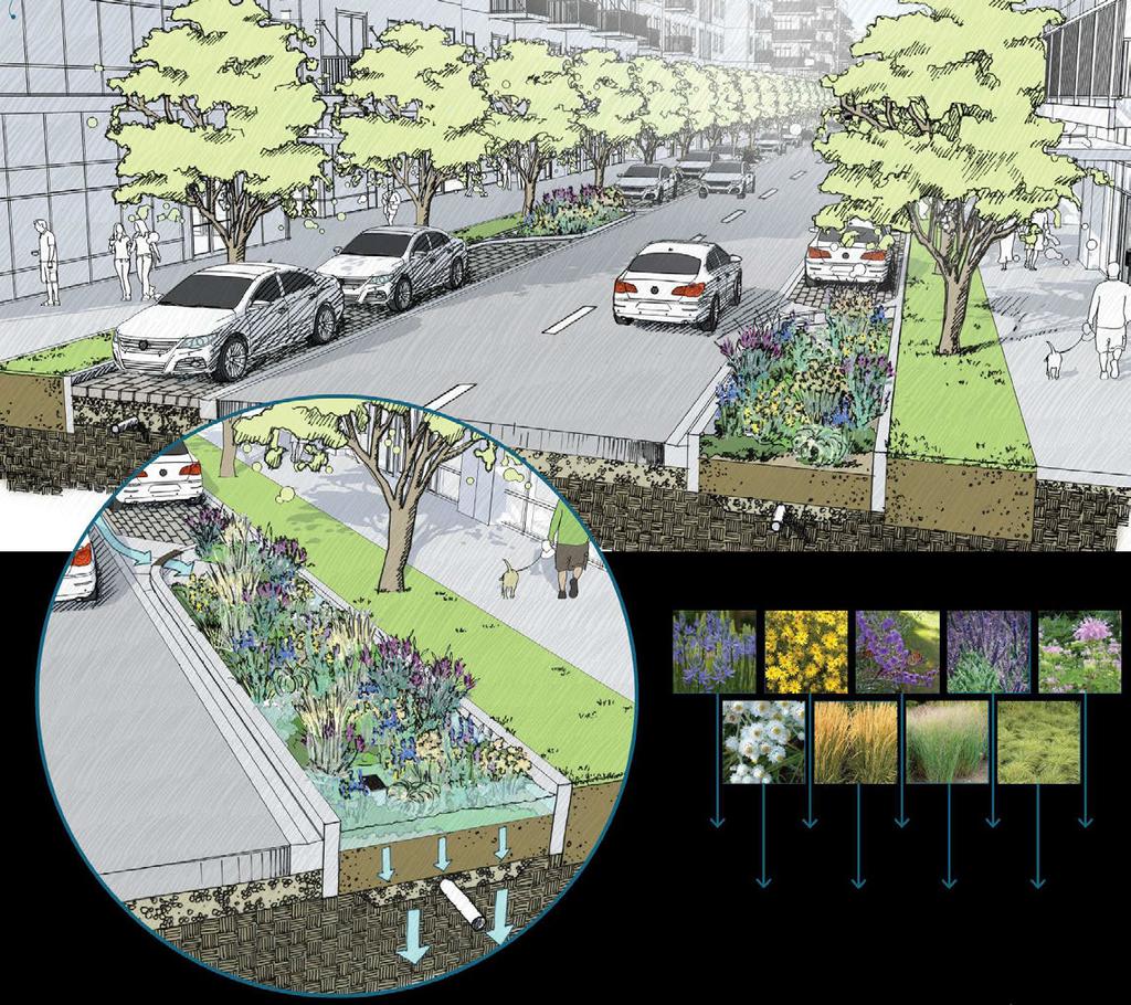 GREEN INFRASTRUCTURE Green infrastructure plays an important role in