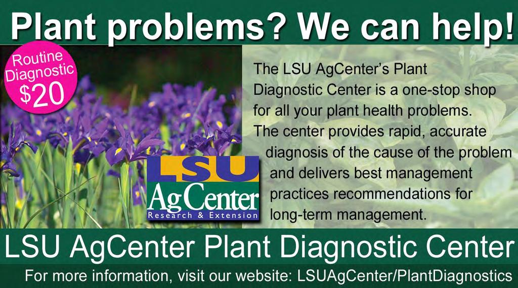 LSU AgCenter Plant