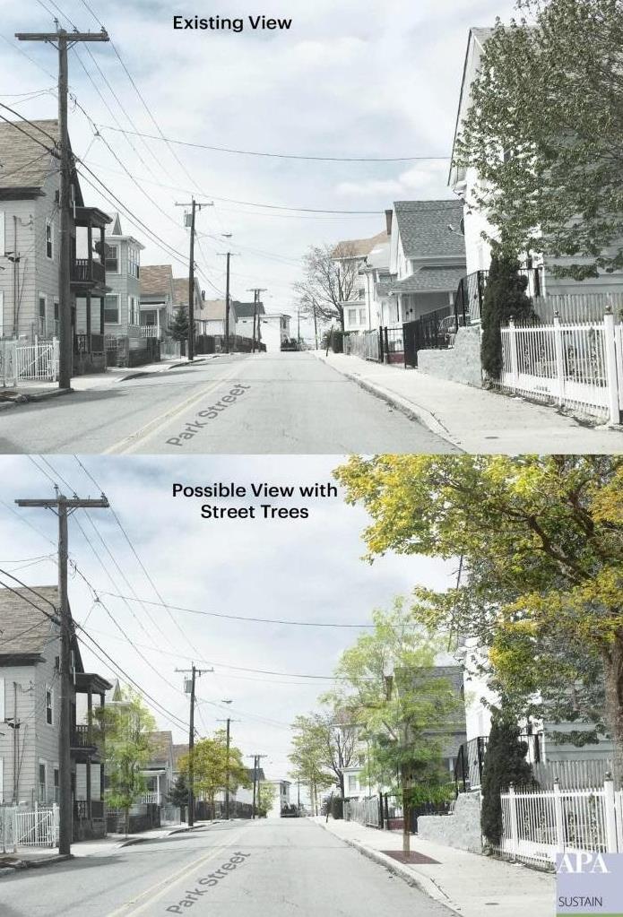 TODAY Measuring the Benefits of Trees: The Green Streets Lawrence Health Impact Assessment Angela J.