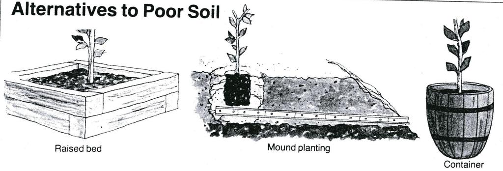 Installing a French Drain or other drainage system Percolation test: Dig a hole 2-3 feet deep and fill the hole with water