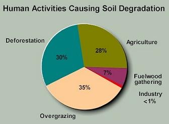 Soil Erosion & Degradation While soil is a potentially renewable resource,