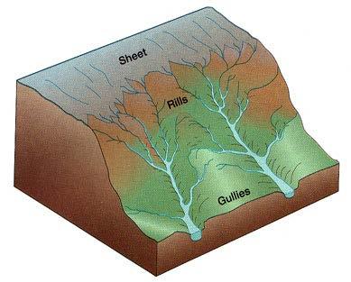 Soil Erosion & Degradation Runoff and Types of runoff: Sheet